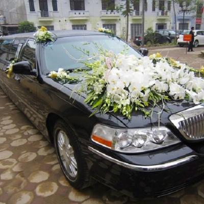 Cho thuê xe hoa